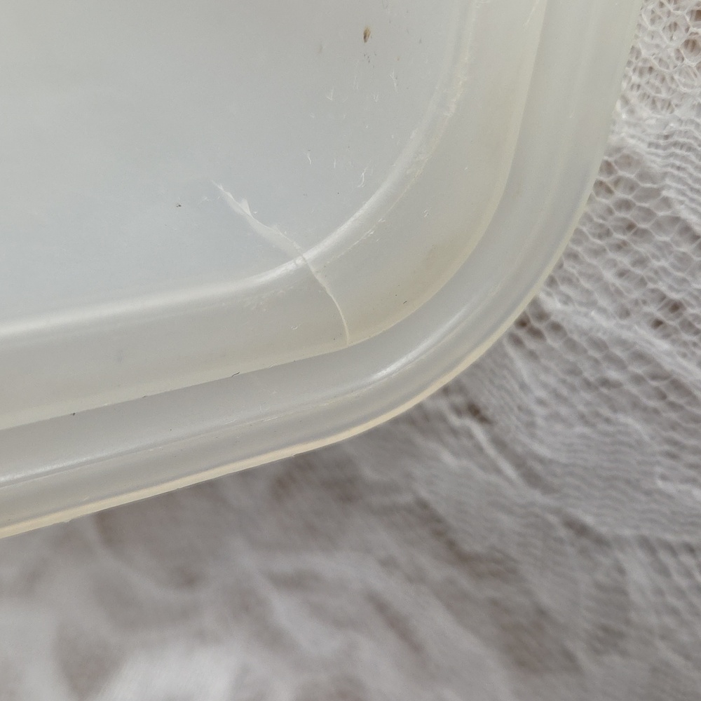 Tupperware: Cake Keeper Container - Picture 10 of 11